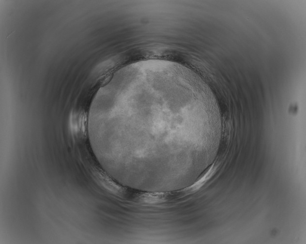 X0000095120094200712301811