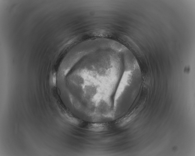 X0000095120095200712301811