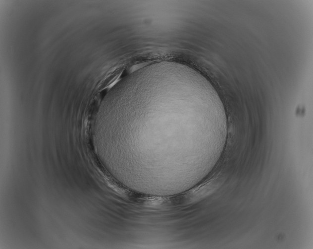 X0000095120096200712301811