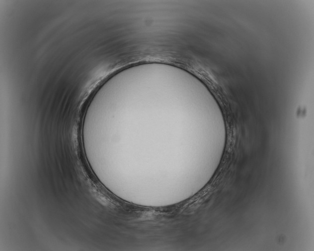 X0000095120098200712301810