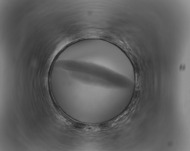 X0000095120099200712301810