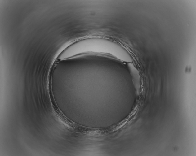 X0000095120100200712301810