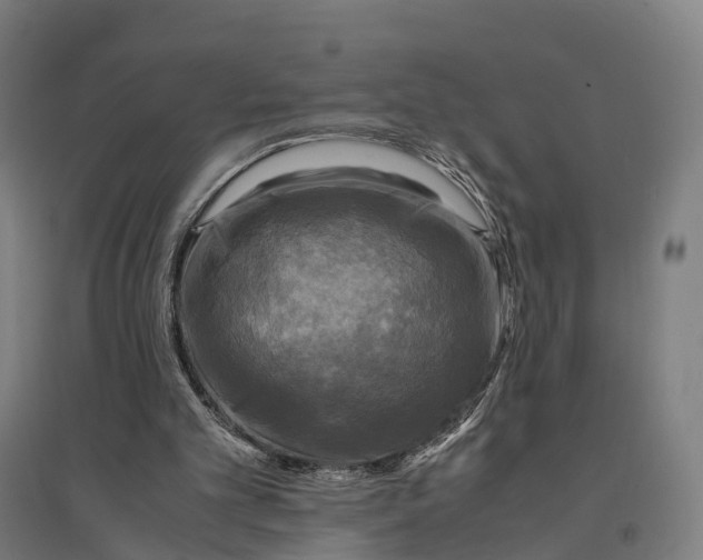 X0000095120101200712301810