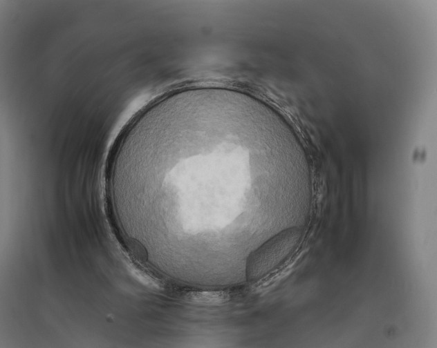 X0000095120102200712301810