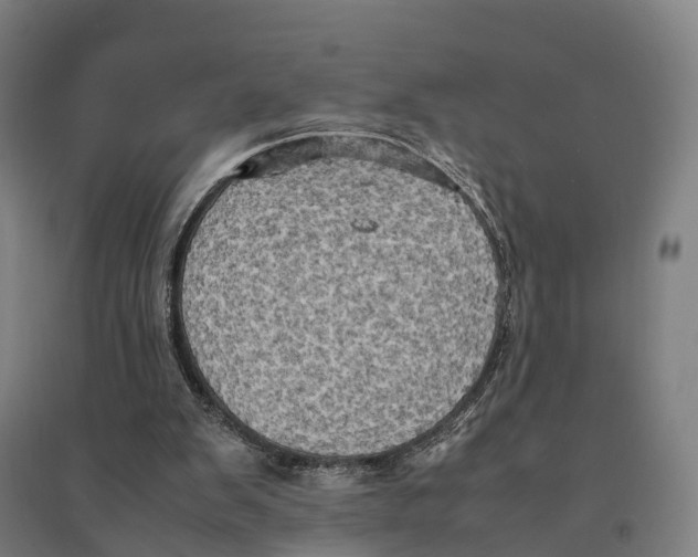 X0000095120103200712301810