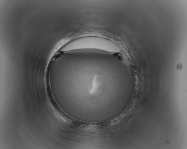 X0000095120104200712301810