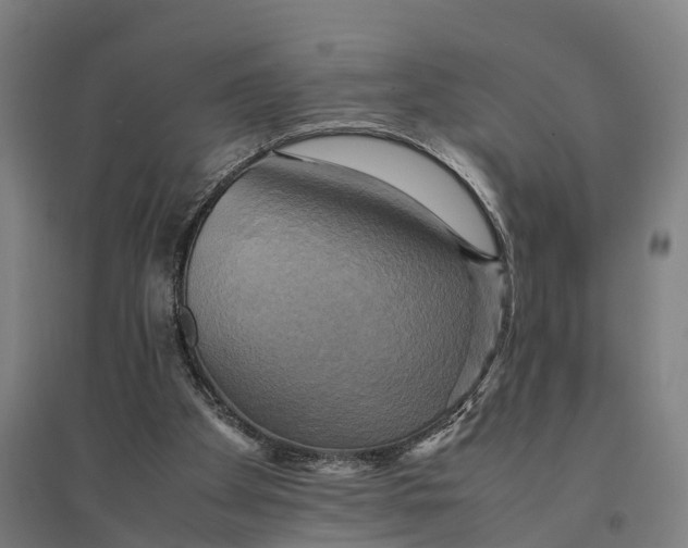 X0000095120105200712301810