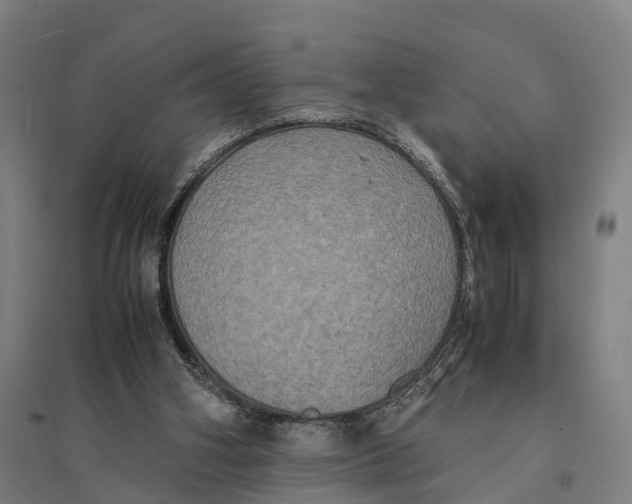 X0000095120106200712301810