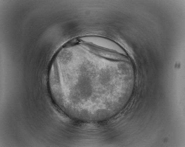 X0000095120107200712301810