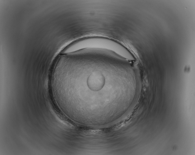 X0000095120108200712301810