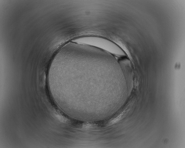 X0000095120109200712301810