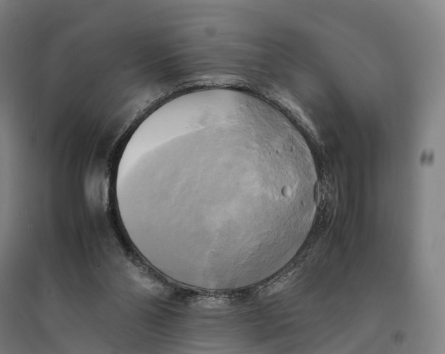 X0000095120110200712301810