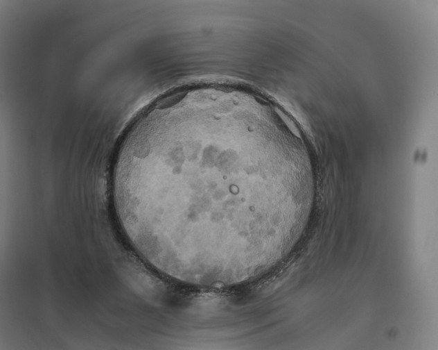 X0000095120111200712301810