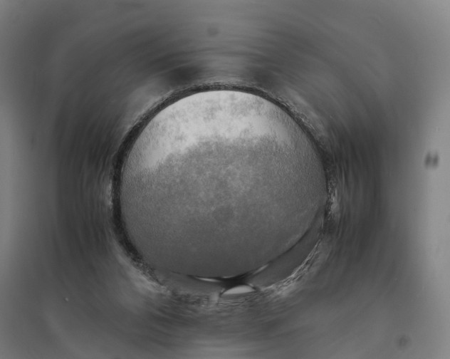 X0000095120112200712301810