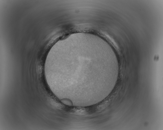 X0000095120113200712301810