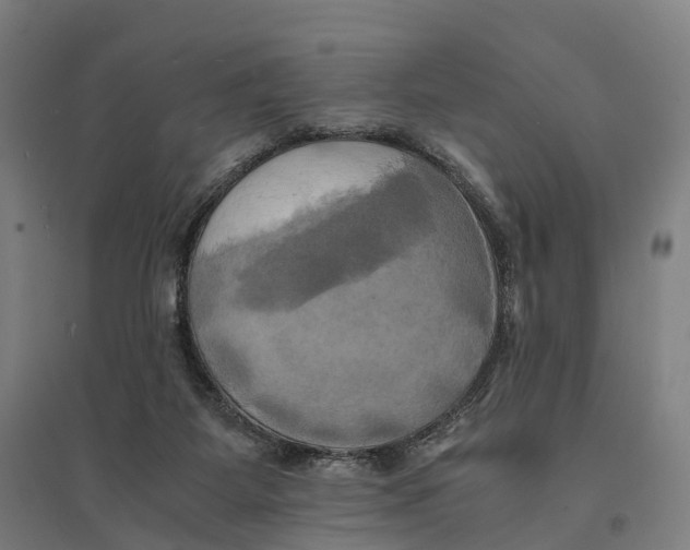 X0000095120115200712301810