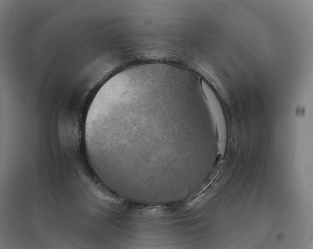 X0000095120116200712301810