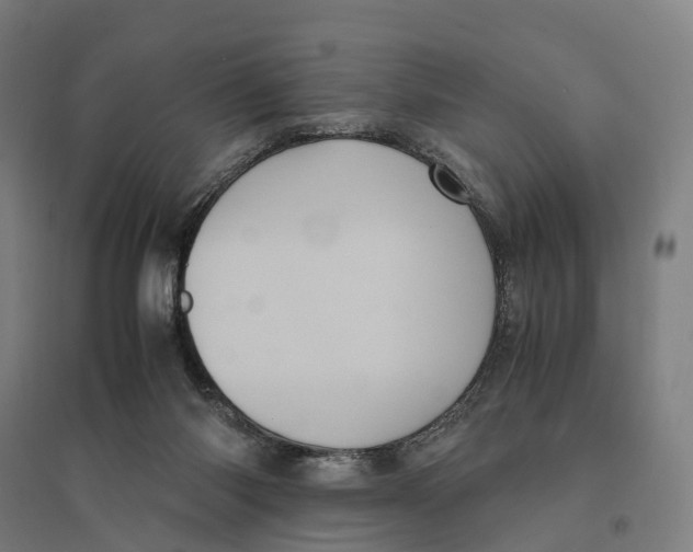 X0000095120118200712301810