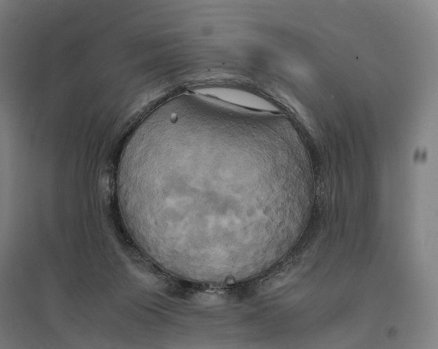 X0000095120119200712301810