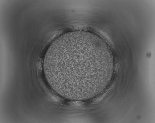 X0000095120121200712301810