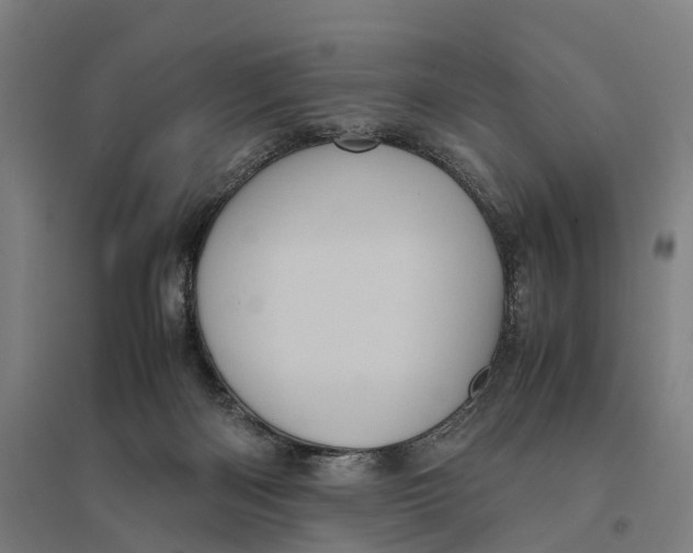 X0000095120122200712301810