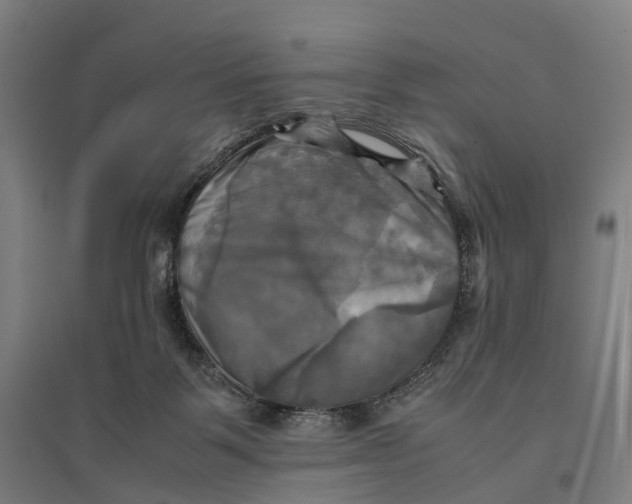 X0000095120123200712301810