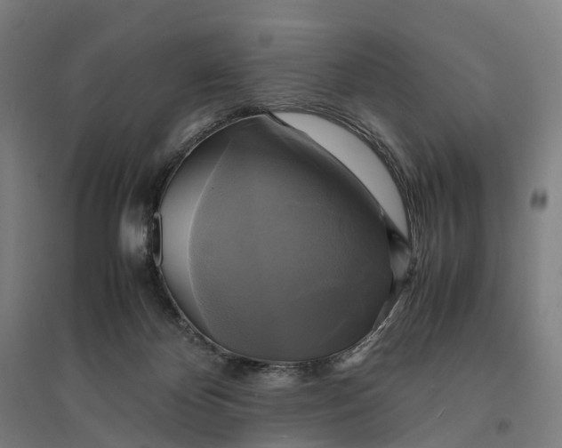 X0000095120124200712301810