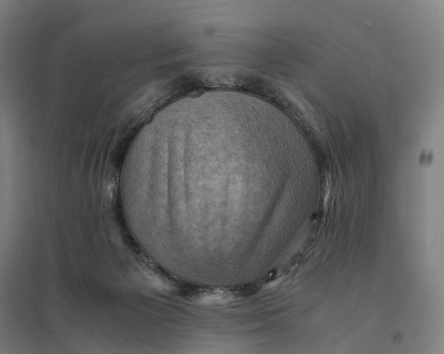 X0000095120125200712301810