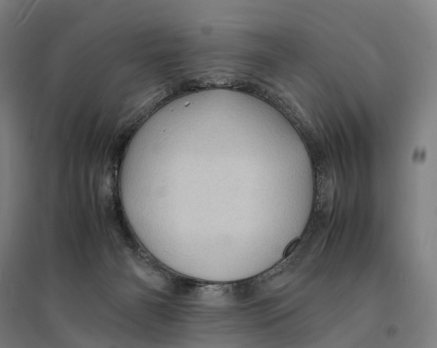 X0000095120126200712301810