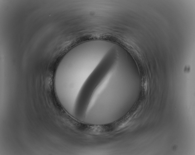 X0000095120127200712301810