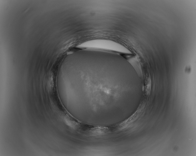 X0000095120128200712301810