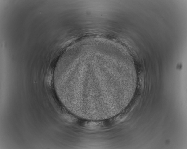 X0000095120129200712301810