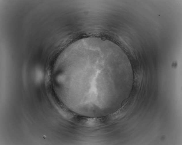 X0000095120130200712301810