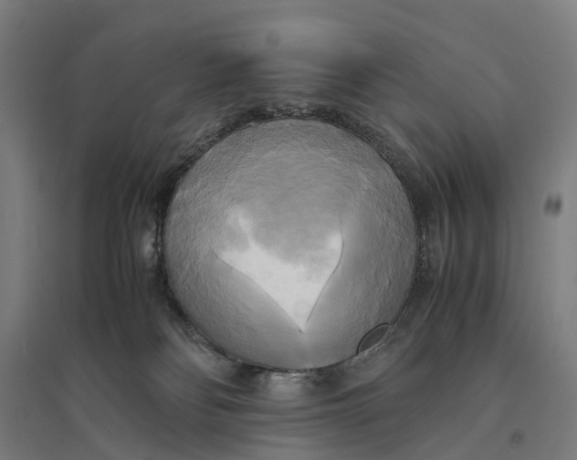 X0000095120134200712301810