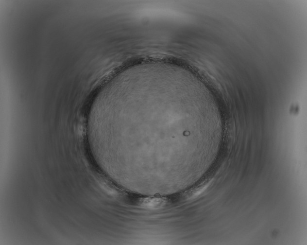 X0000095120135200712301810