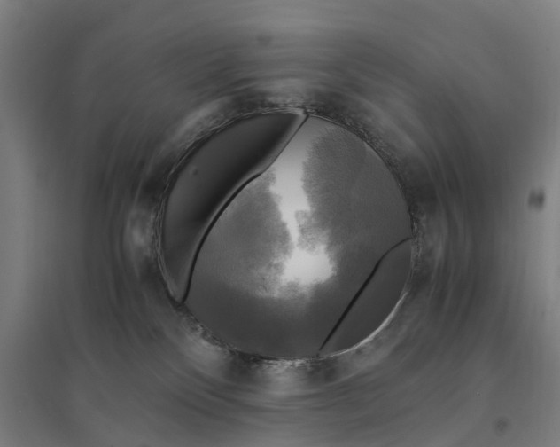 X0000095120136200712301810