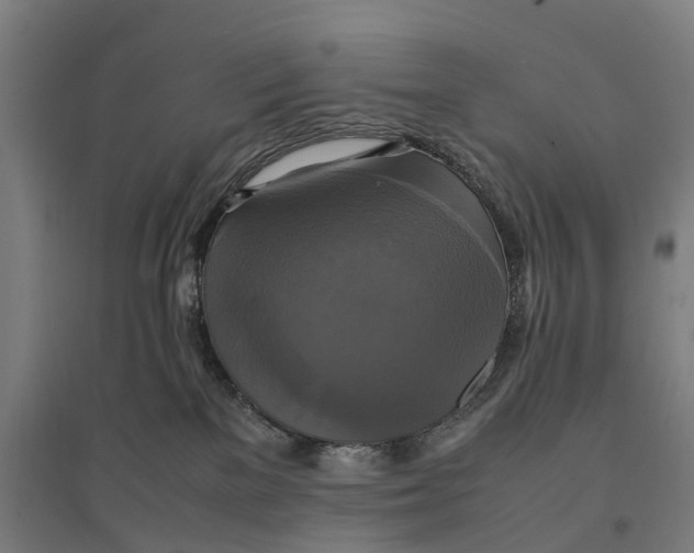 X0000095120137200712301810