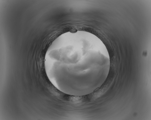 X0000095120139200712301809