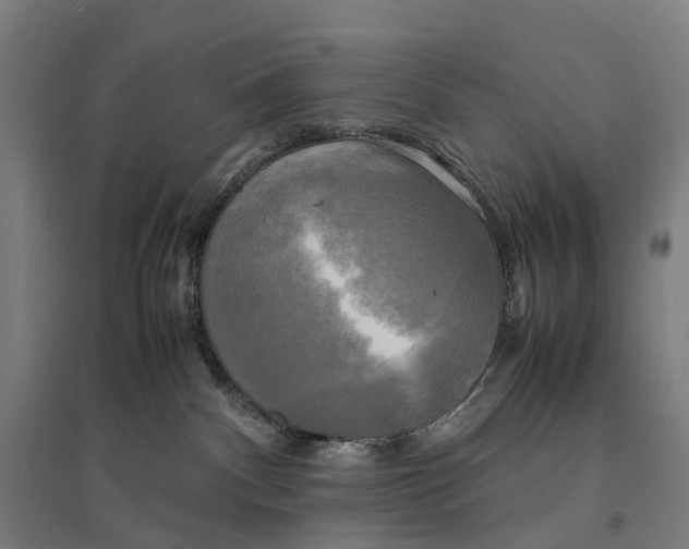 X0000095120140200712301809