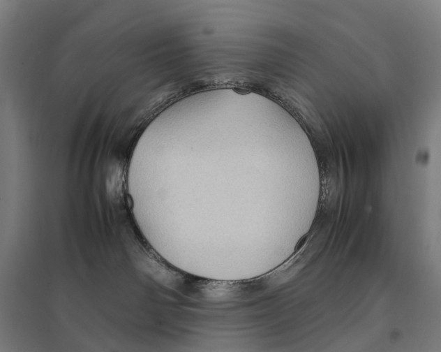 X0000095120142200712301809