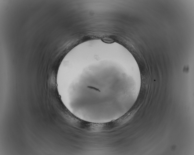 X0000095120143200712301809