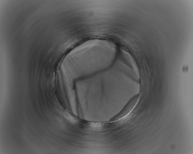 X0000095120144200712301809