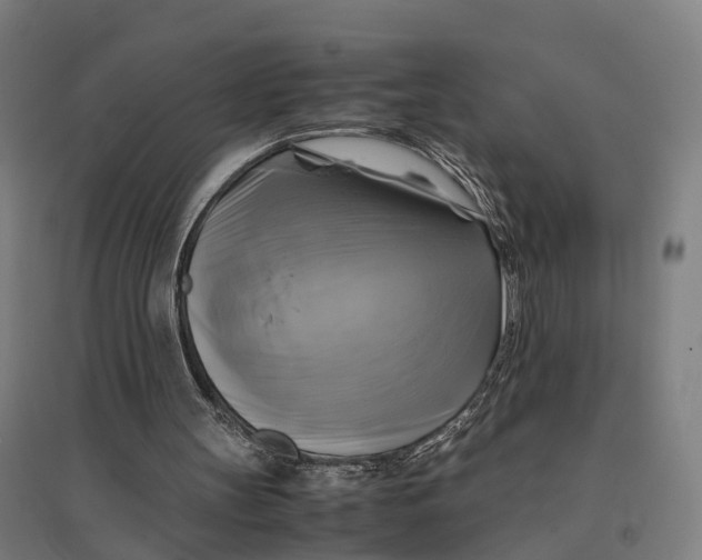 X0000095120147200712301808