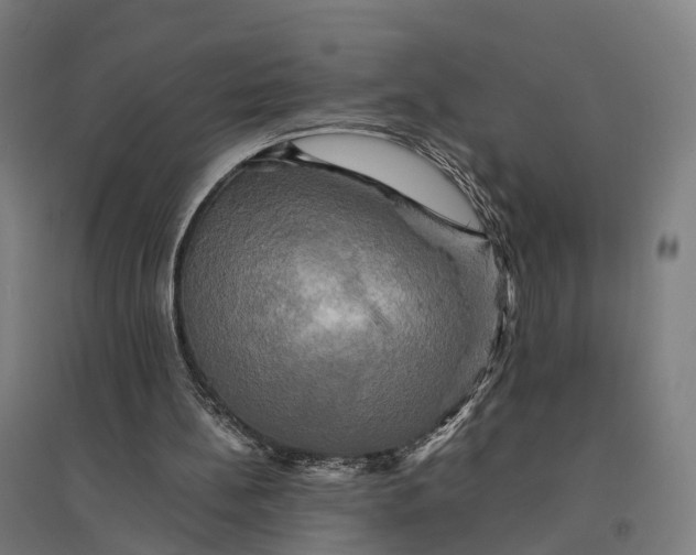 X0000095120148200712301808