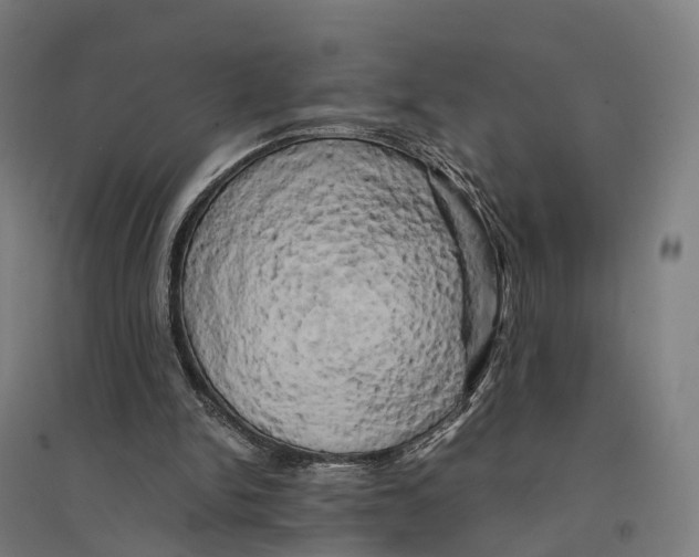 X0000095120150200712301808