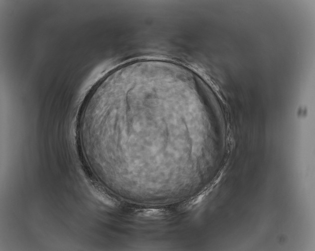 X0000095120151200712301808