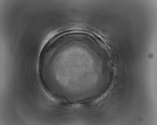 X0000095120152200712301809