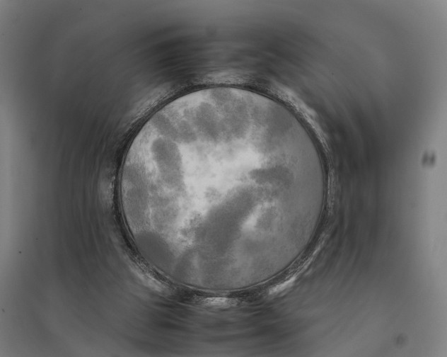 X0000095120153200712301809