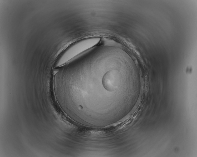 X0000095120154200712301809