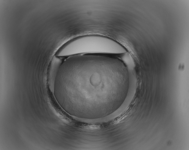 X0000095120156200712301809